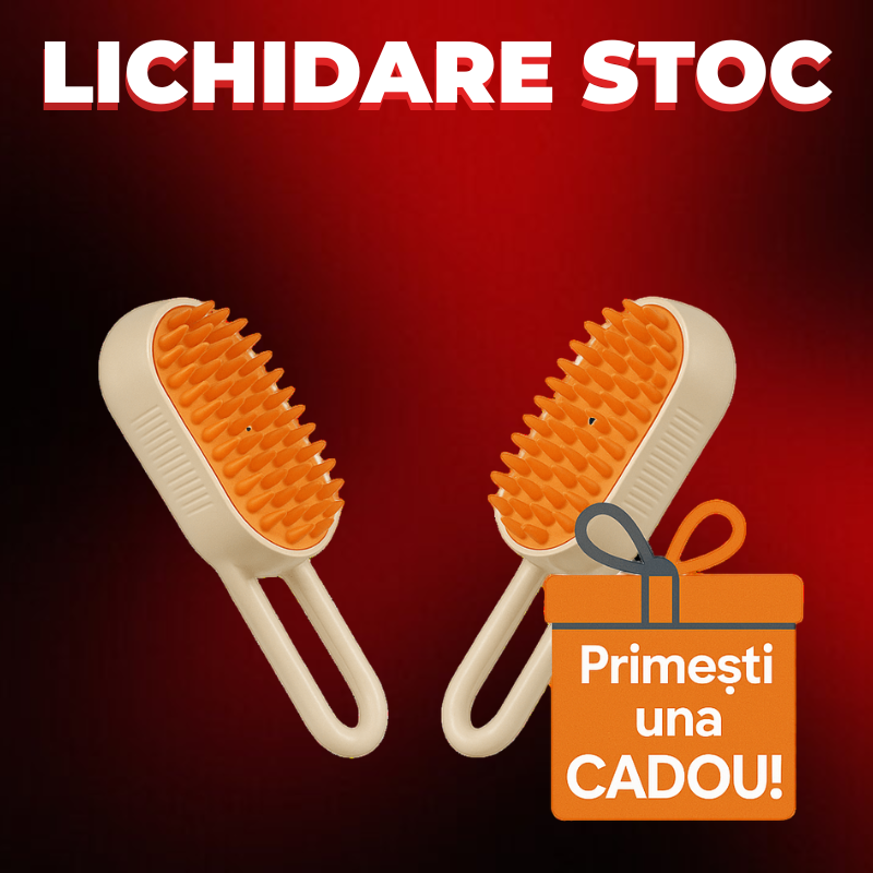 Perie Electrică cu Abur SteamBrush™ 1+1 Cadou