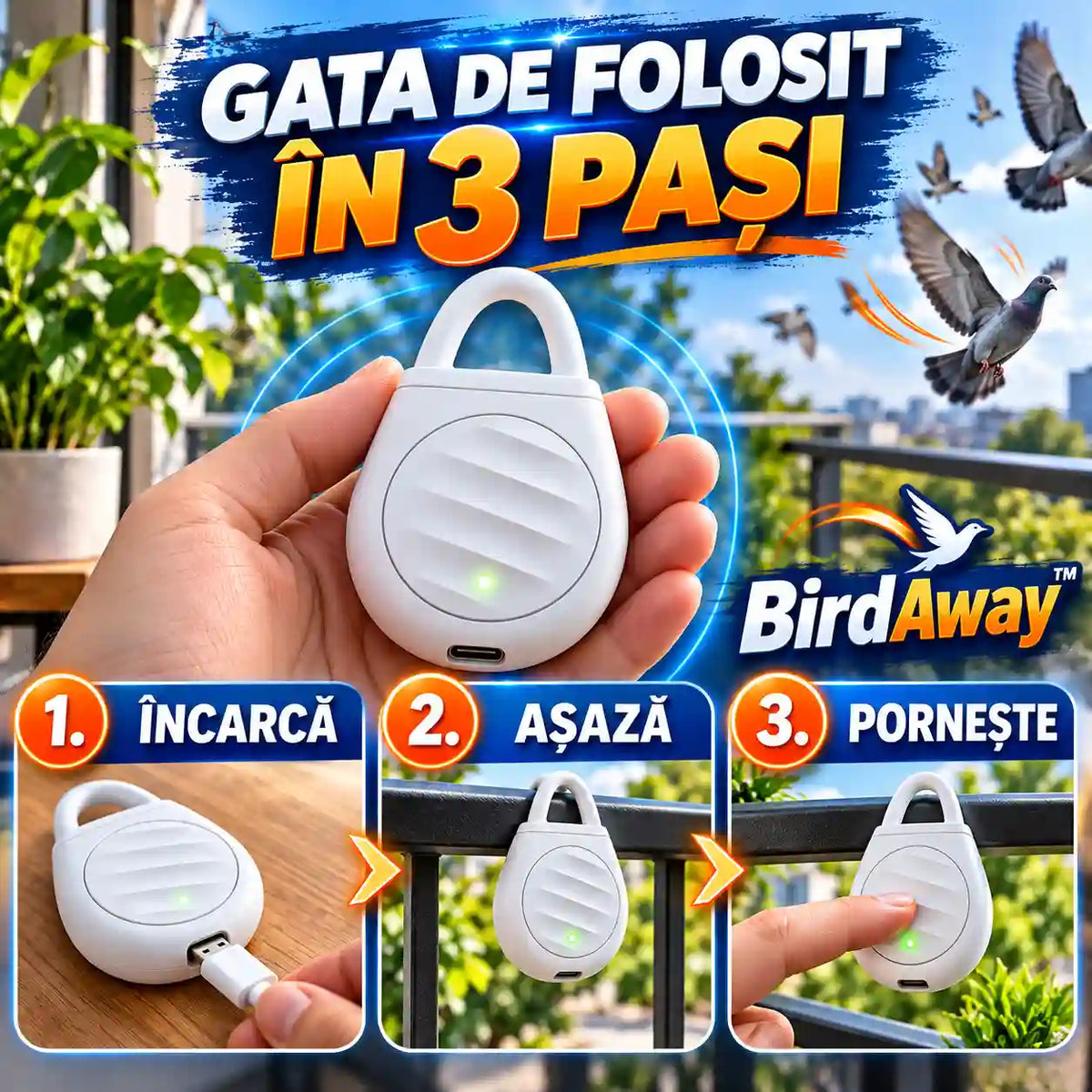birdaway-general-howto