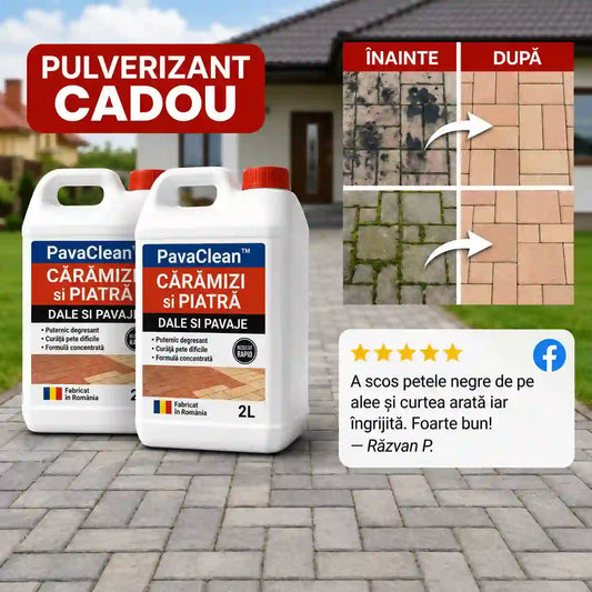 Soluție Curățare Pavaj și Piatră - PavaClean™