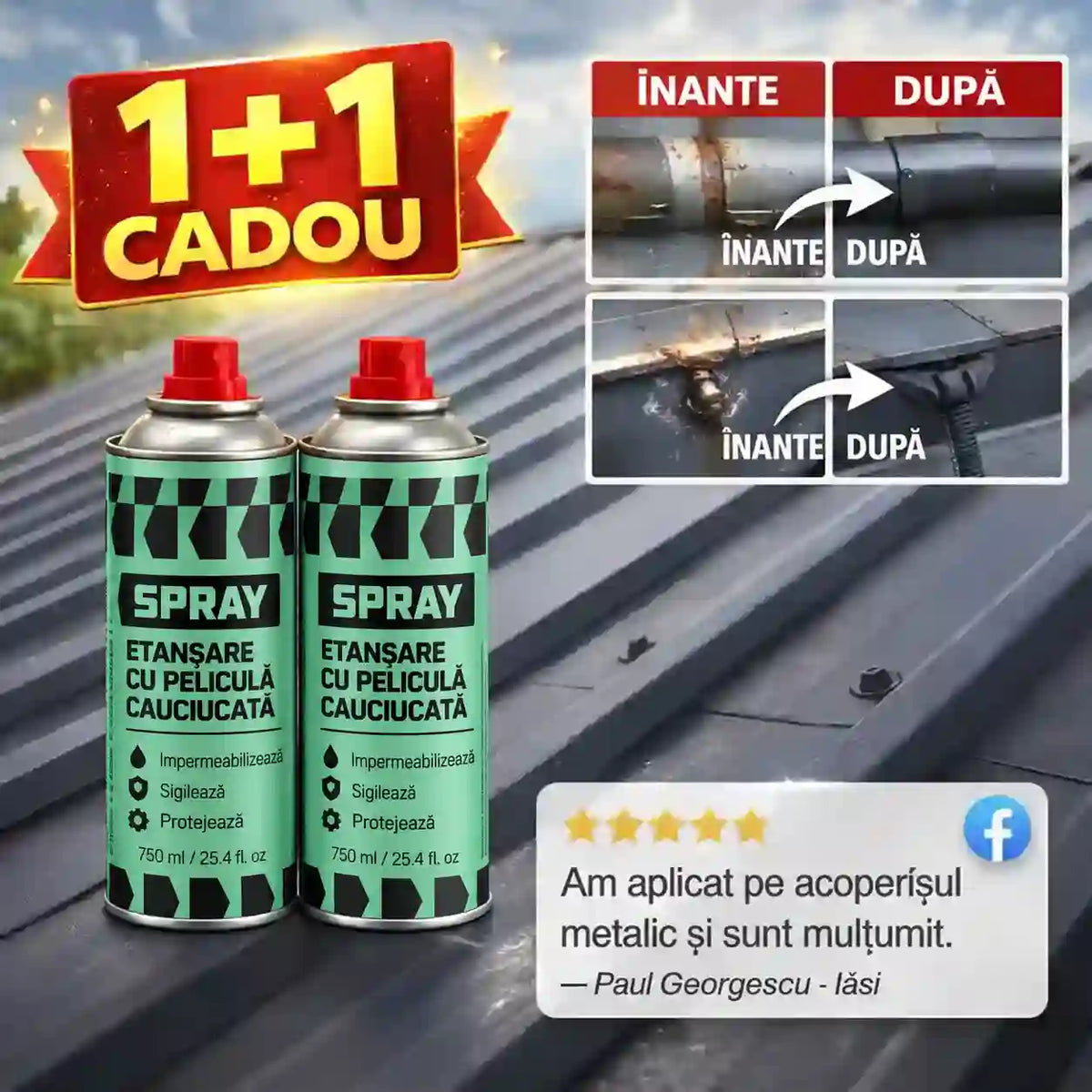 SET Complet Anti-Infiltrații - (750 ML) 1+1 Gratis - EtanStop™