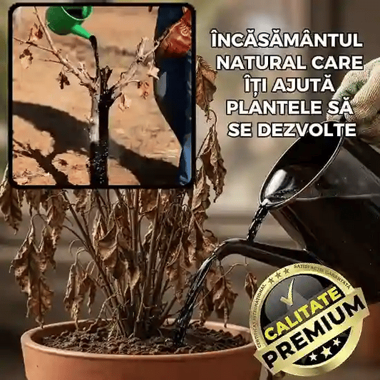 Înca un Îngrășământ Natural