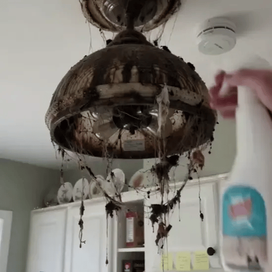 lustraclean-gif2