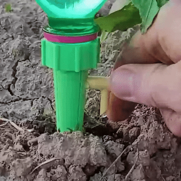 picoverde-native-drip-animation