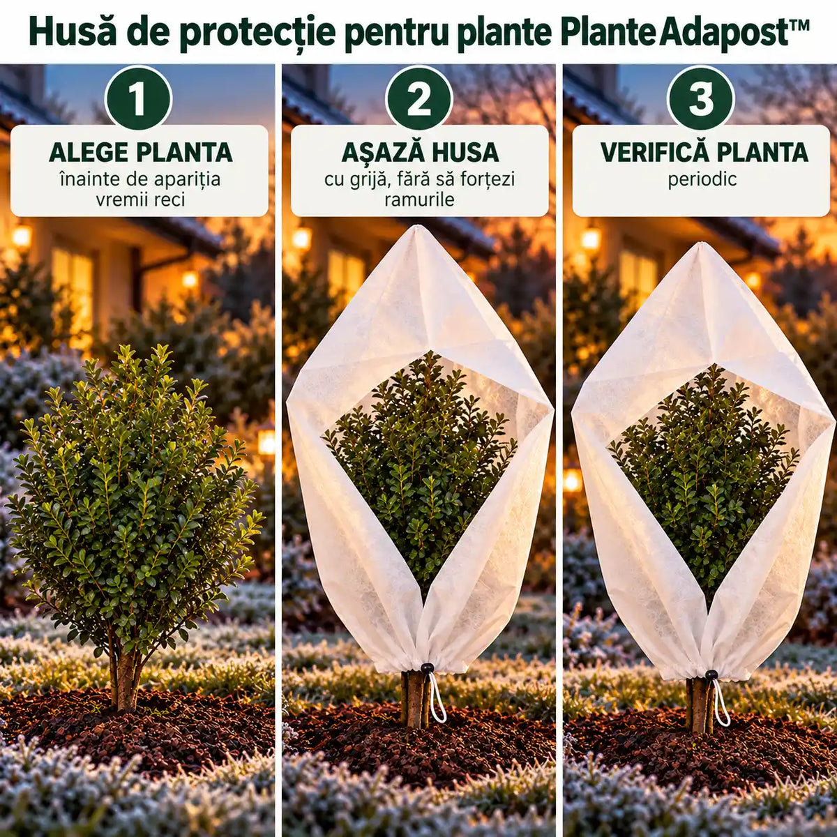 planteadapost-how-to