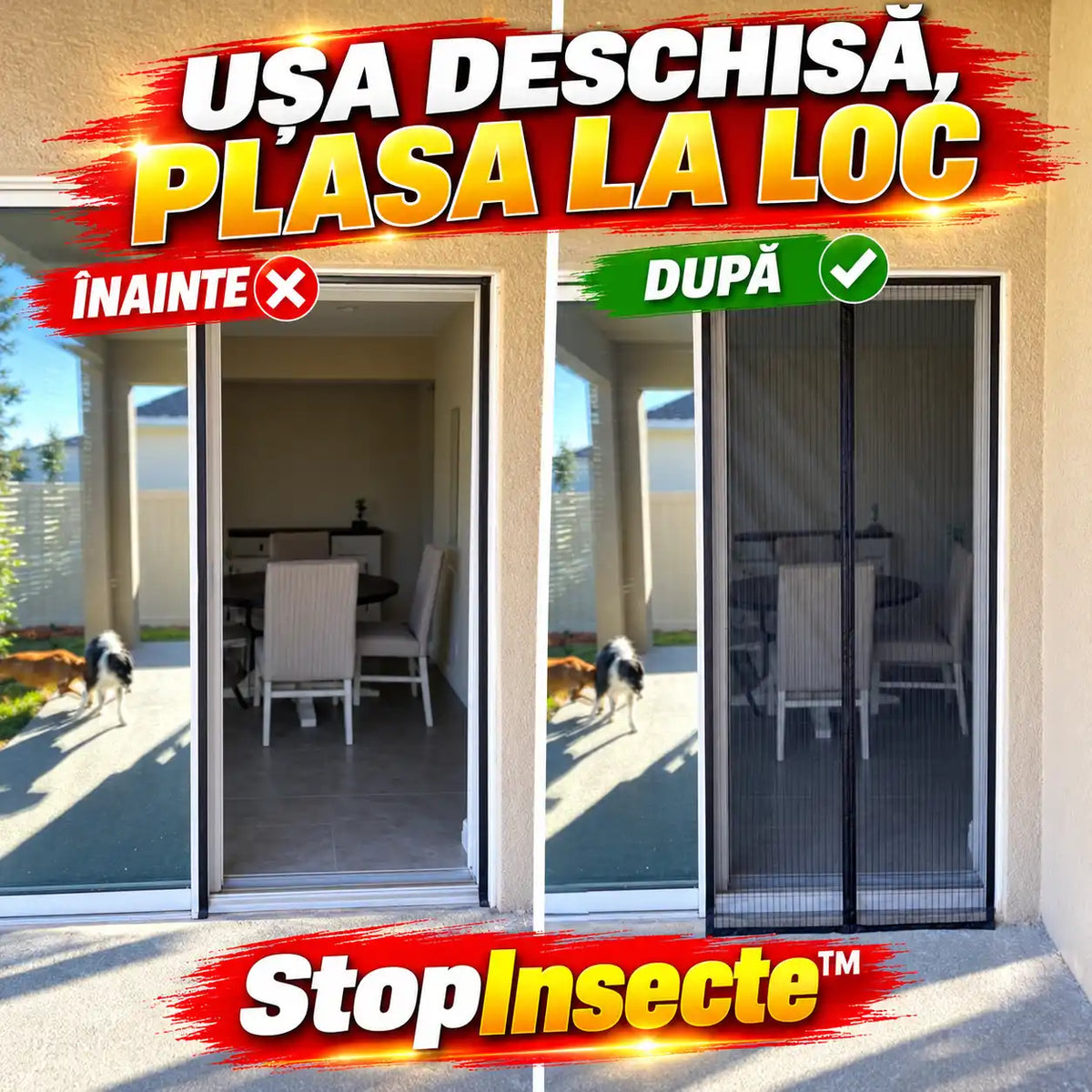 stopinsecte-beforeafter